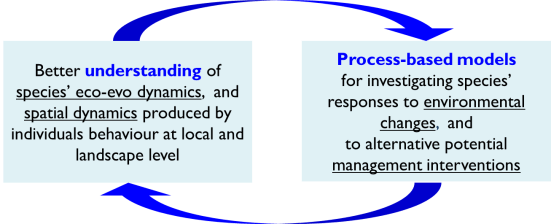 ProcessBasedModels