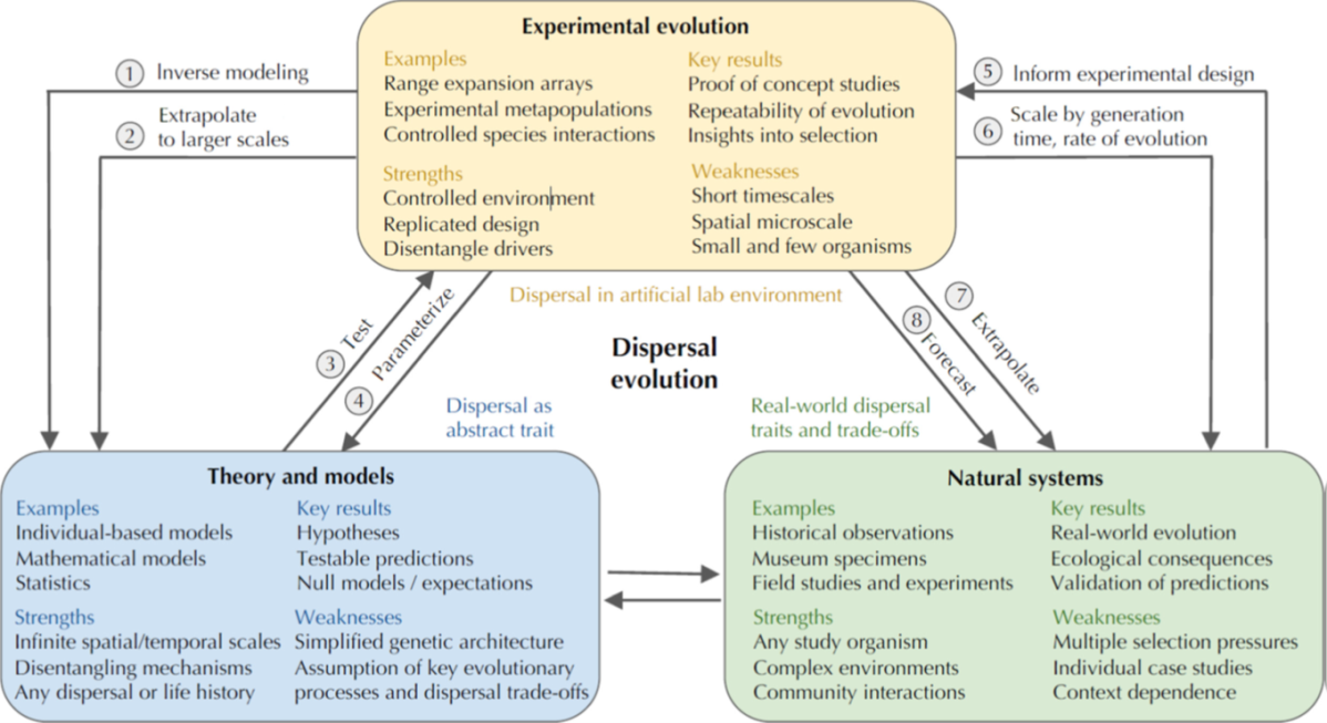 New concept paper: understanding dispersal evolution by linking experimental evolution, theory and modelling, and natural systems.
